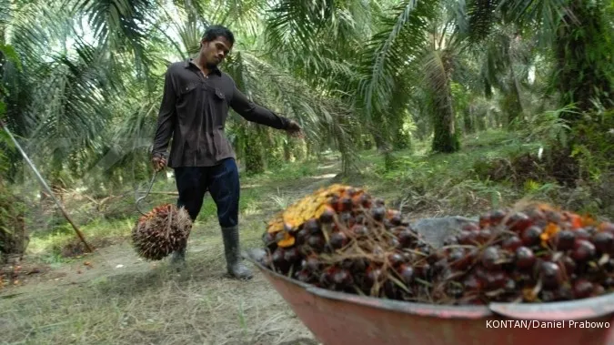 Satya Agrindo tawarkan pupuk organik buat sawit