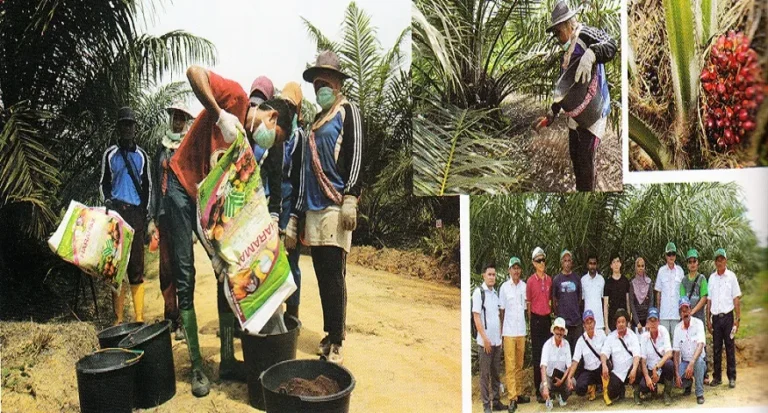 Lee Choo Chai General Manager PT Wanasari NusantaraHARAMAX, Tingkatkan Produktivitas Pasca Replanting